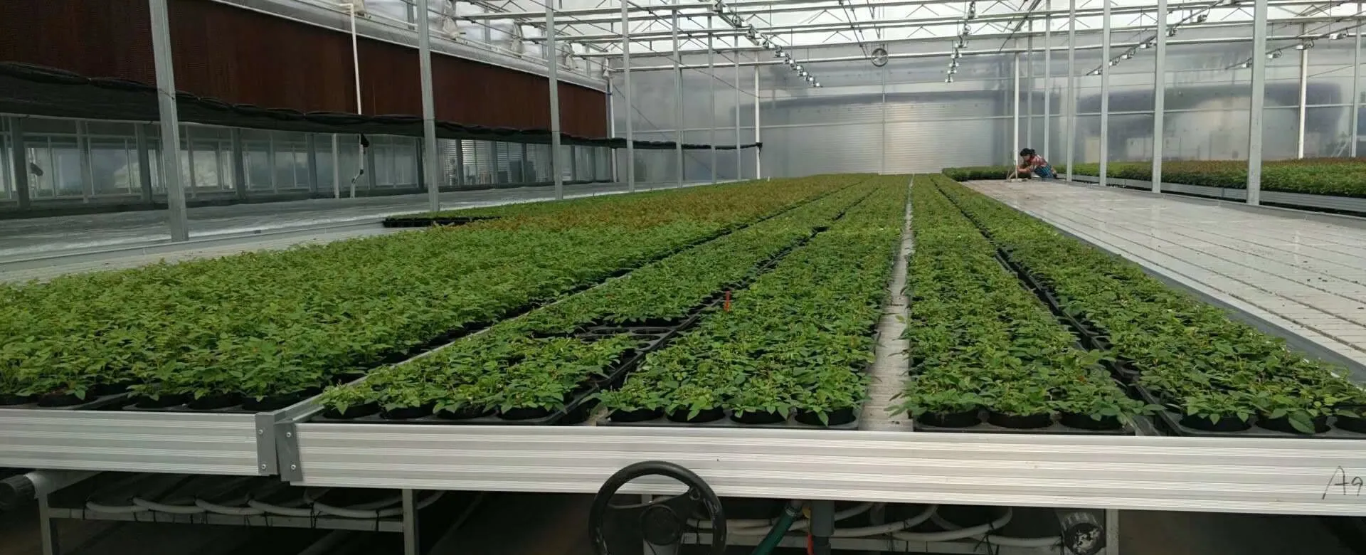 Manufacturer of hydroponic equipment